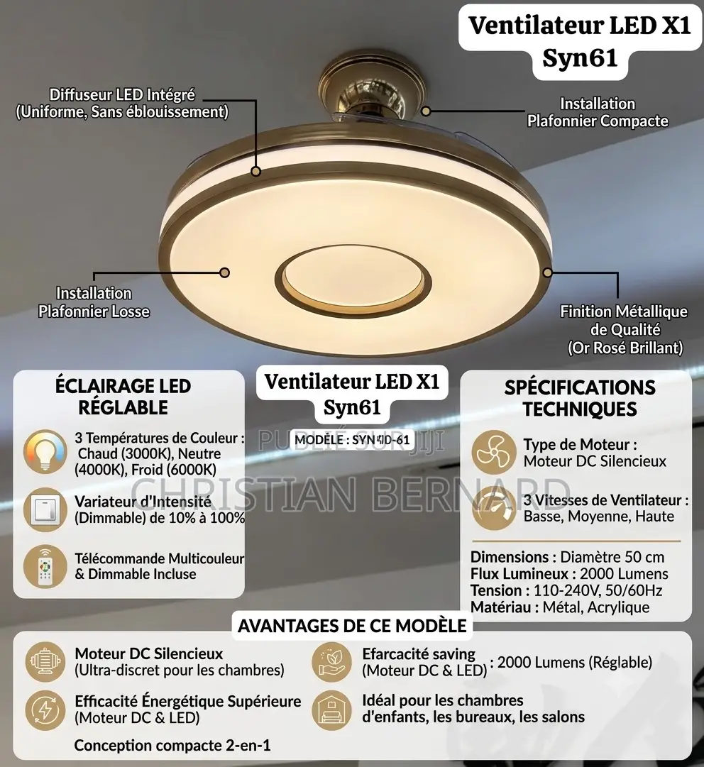 Ventilateur De Plafond Plafonnier LED – Design Doré, Silencieux