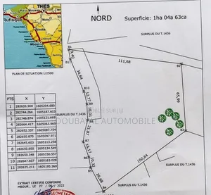 Nguekhokh 1 C Hectares