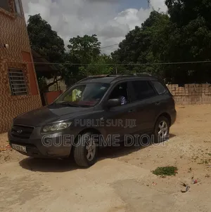 Hyundai Santa Fe 2024 Marron