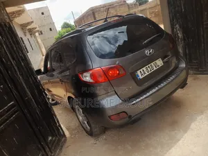 Hyundai Santa Fe 2024 Marron