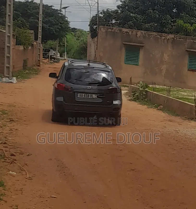 Hyundai Santa Fe 2024 Marron