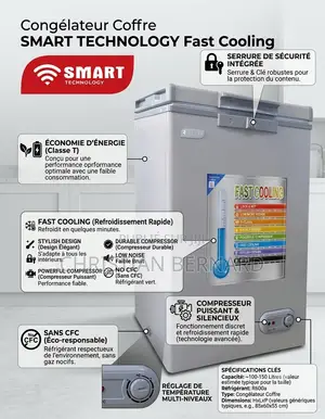 Congélateur Smart Technologie À 80L