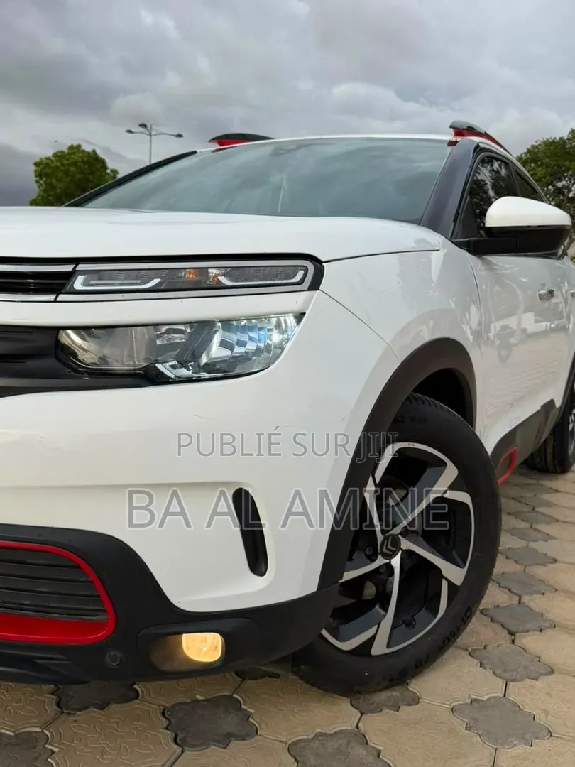 Citroen C5 2019 Blanc