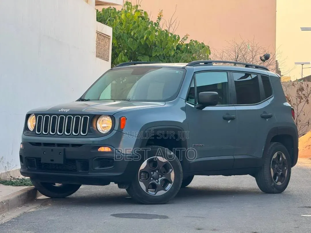Jeep Renegade 2017 Gris
