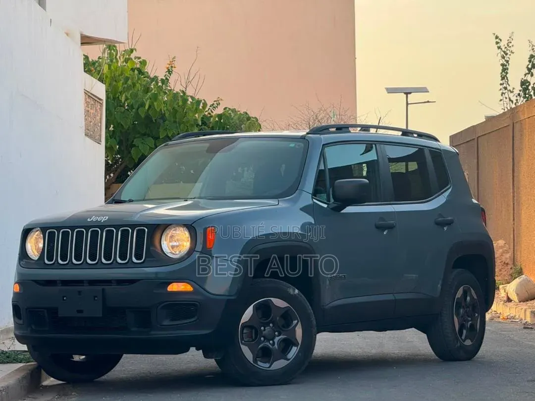 Jeep Renegade 2017 Gris