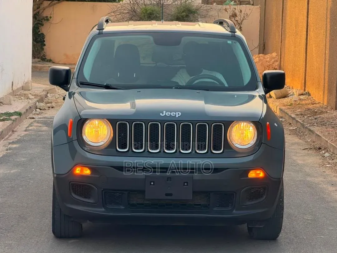 Jeep Renegade 2017 Gris
