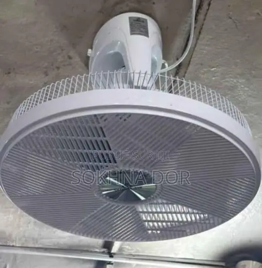Ventilateur Global Aire 18 Pouces Plafonnier