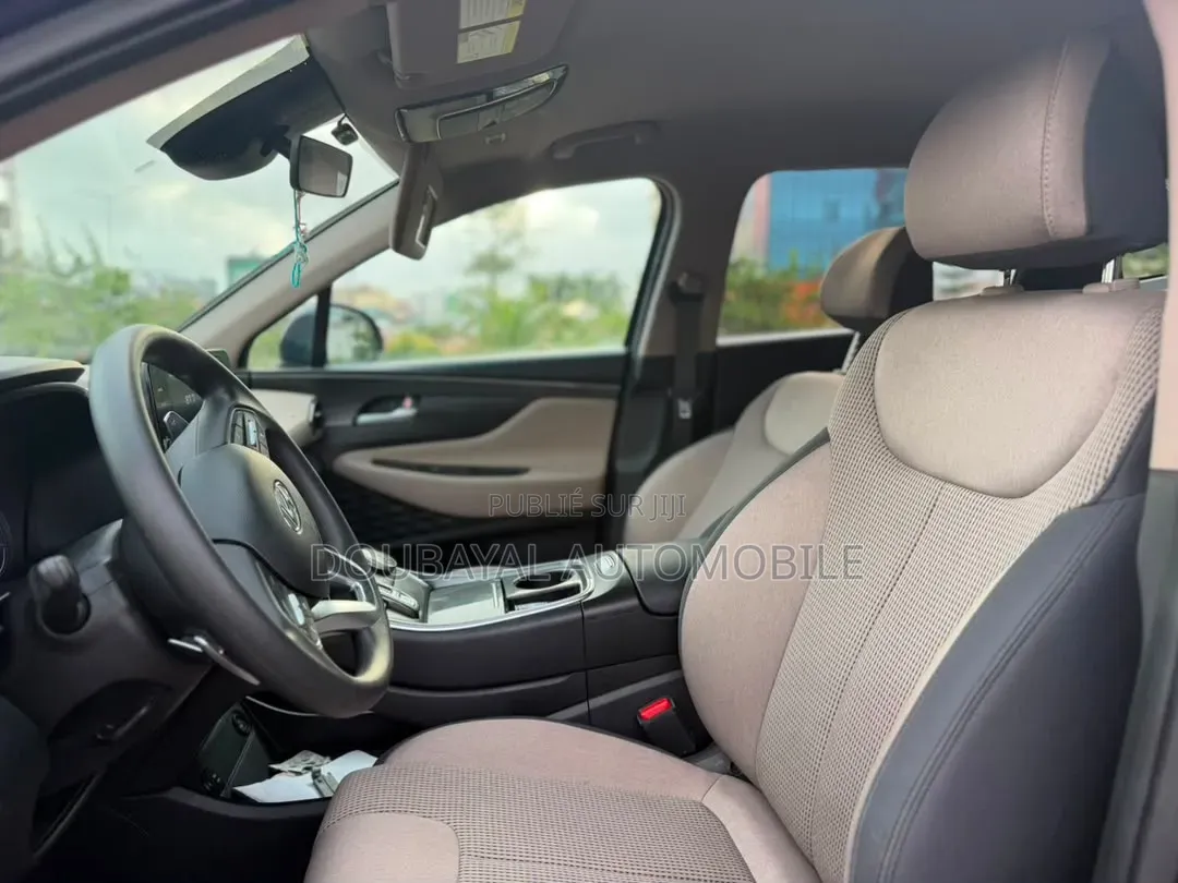Hyundai Santa Fe 2021 Autre