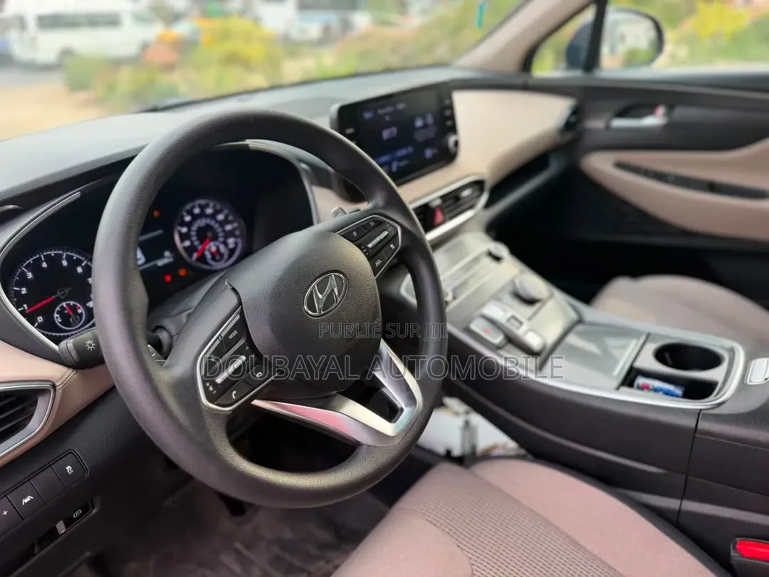 Hyundai Santa Fe 2021 Autre