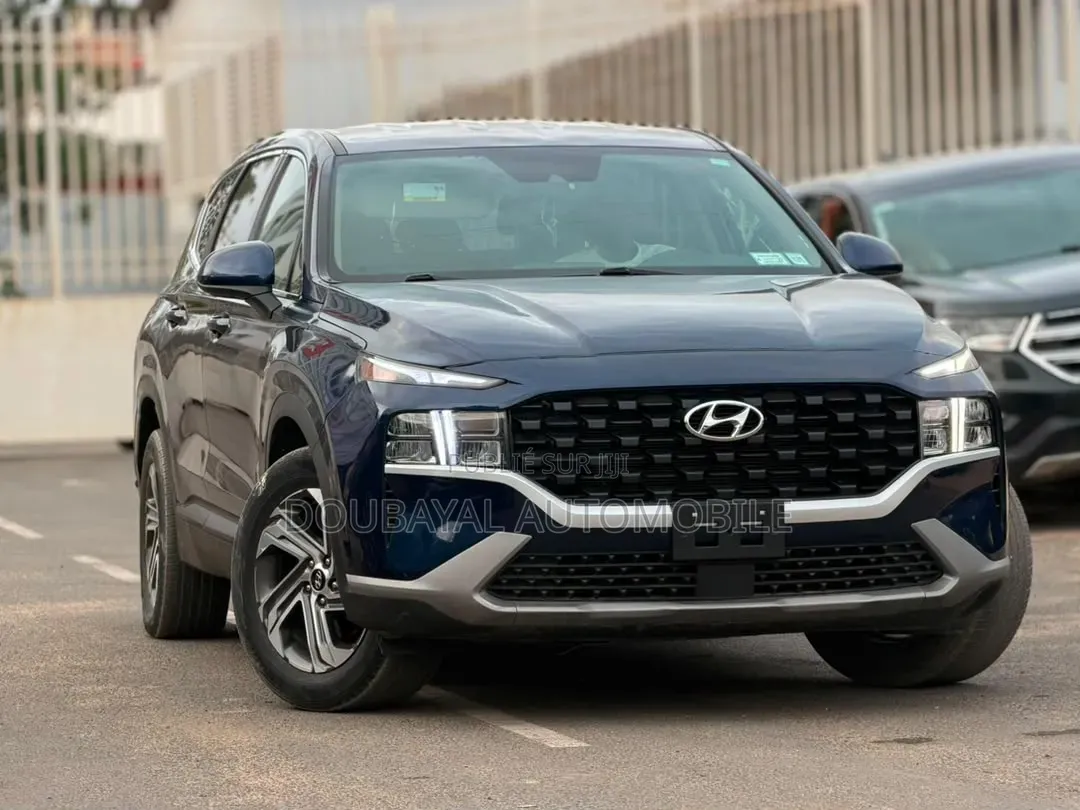 Hyundai Santa Fe 2021 Autre