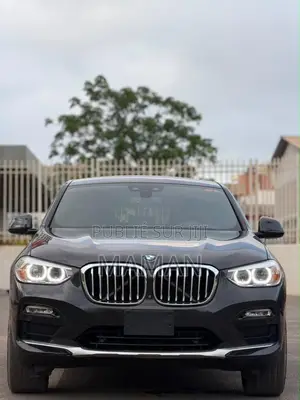 BMW X4 xDrive30i 2019 Noir