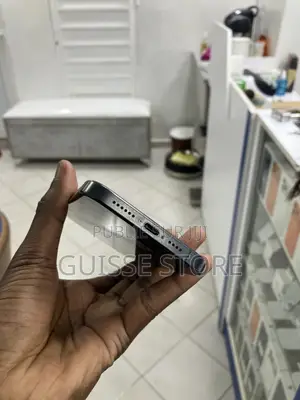 Apple iPhone 15 Pro Max 256 GB Noir