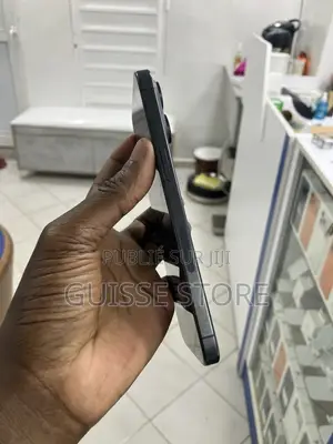Apple iPhone 15 Pro Max 256 GB Noir