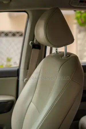 Kia Carnival 2015 Noir