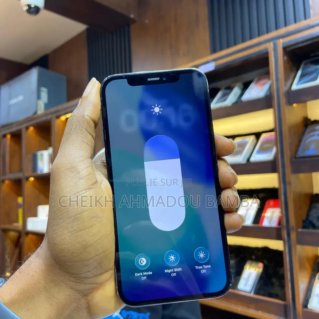 Nouveau Apple iPhone 12 Pro Max 128 GB Bleu