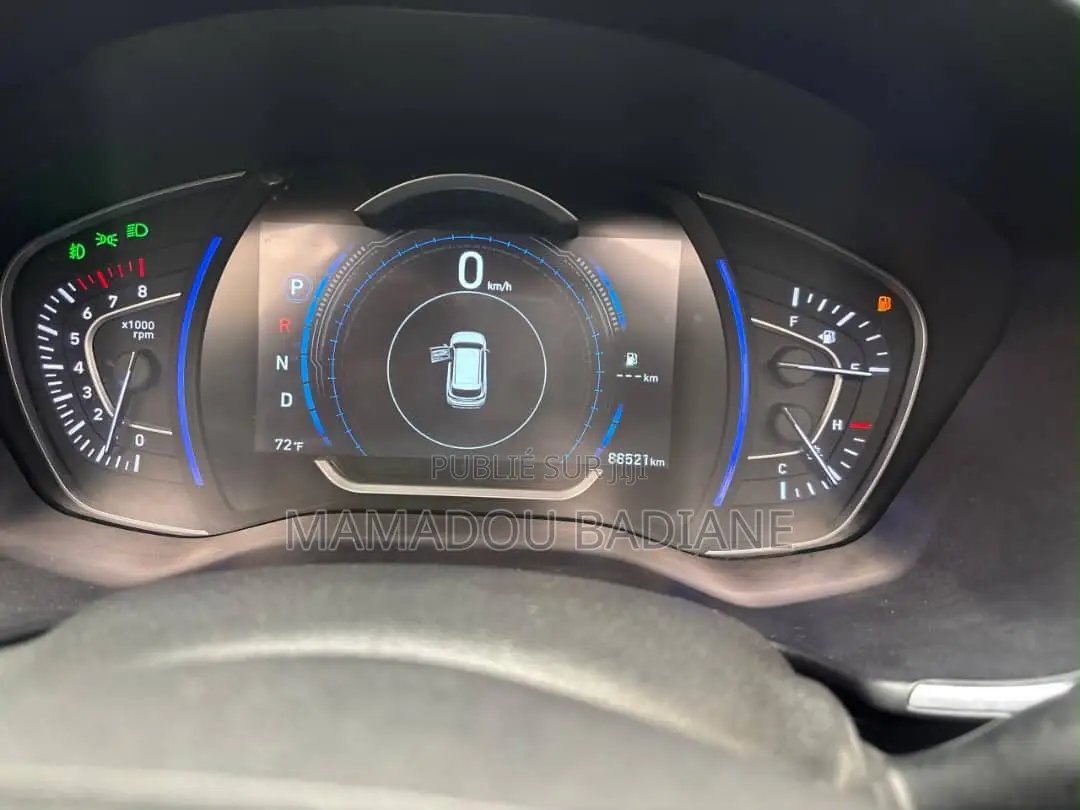Hyundai Santa Fe 2019 Rouge