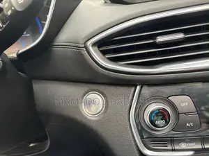 Hyundai Santa Fe 2019 Rouge