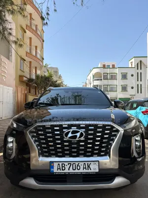 Hyundai Palissade 2019 Noir Mat