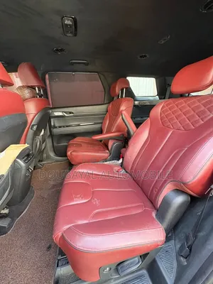 Hyundai Palissade 2019 Noir Mat