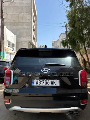 Hyundai Palissade 2019 Noir Mat