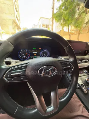 Hyundai Palissade 2019 Noir Mat