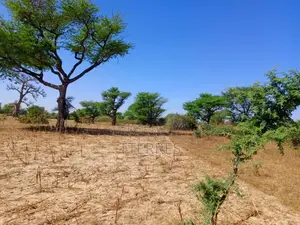 Terrain Agricole De 2,57 Hectares À 3 Km De Tassette – Thies