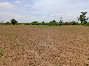 25300 M2 De Verger À 700 M De La Route Mbour-Sandiara