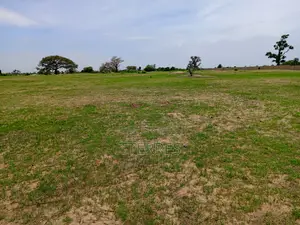 25300 M2 De Verger À 700 M De La Route Mbour-Sandiara