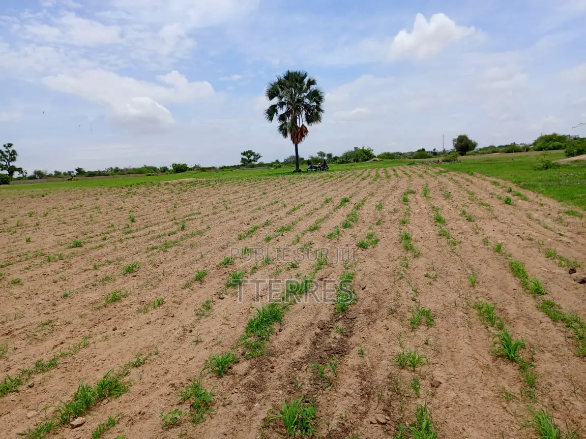 25300 M2 De Verger À 700 M De La Route Mbour-Sandiara