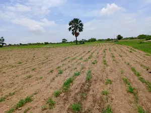 25300 M2 De Verger À 700 M De La Route Mbour-Sandiara