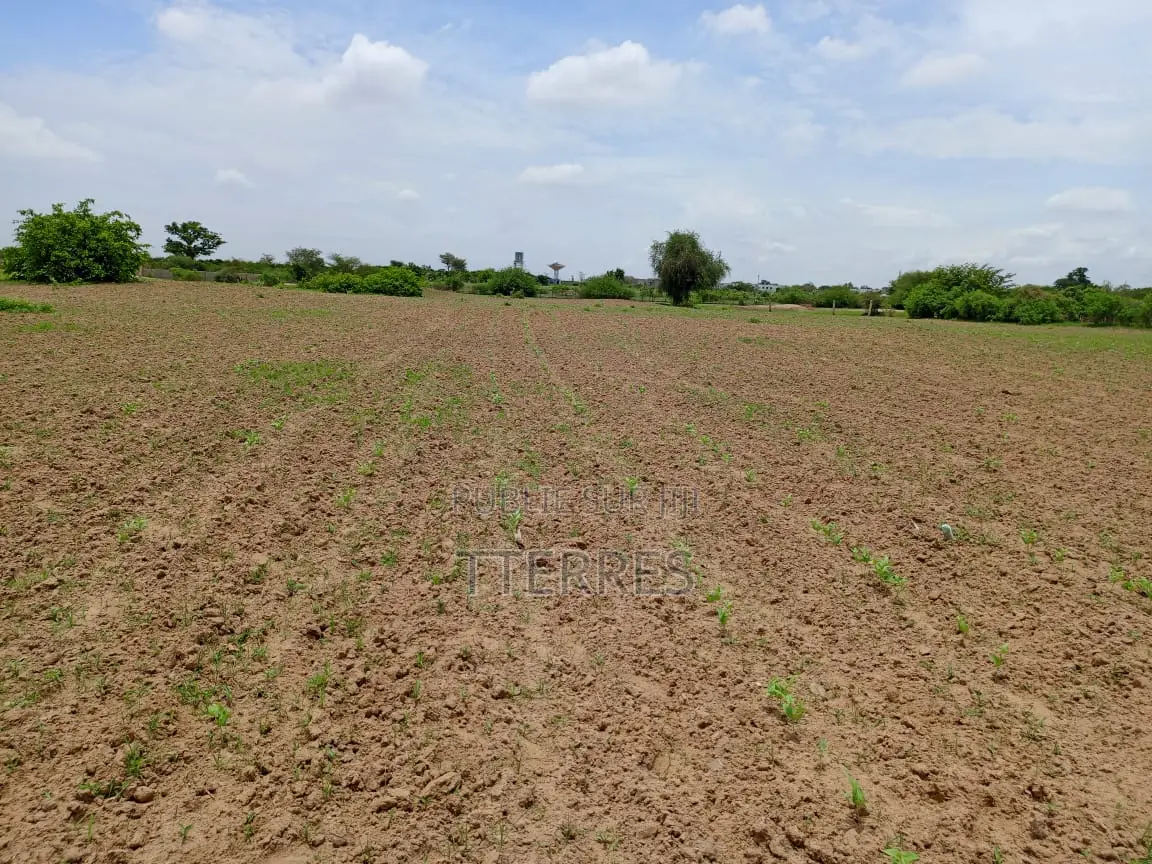 25300 M2 De Verger À 700 M De La Route Mbour-Sandiara