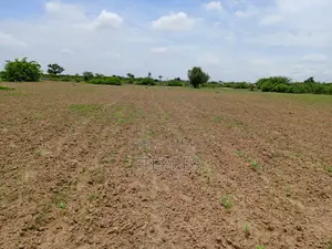 25300 M2 De Verger À 700 M De La Route Mbour-Sandiara