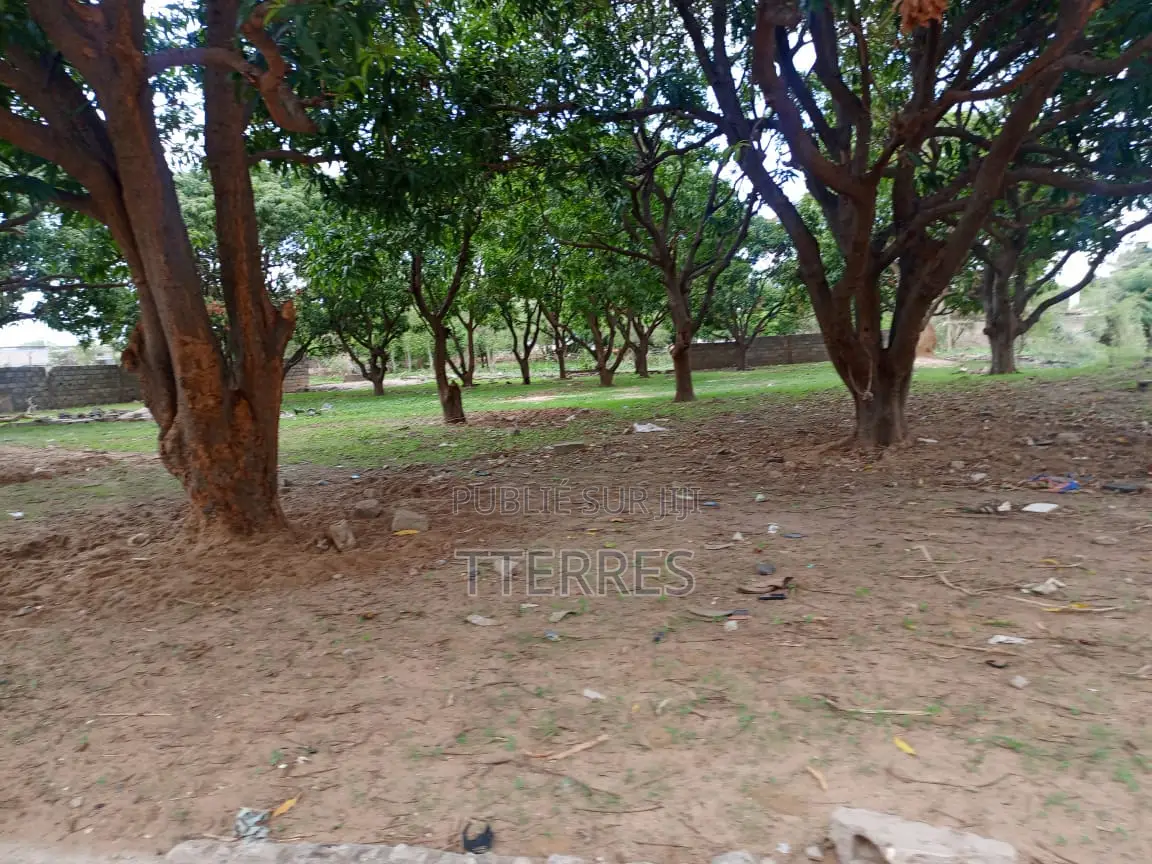 5000 M2 De Verger en Bordure De Route À Sandiara - Mbour