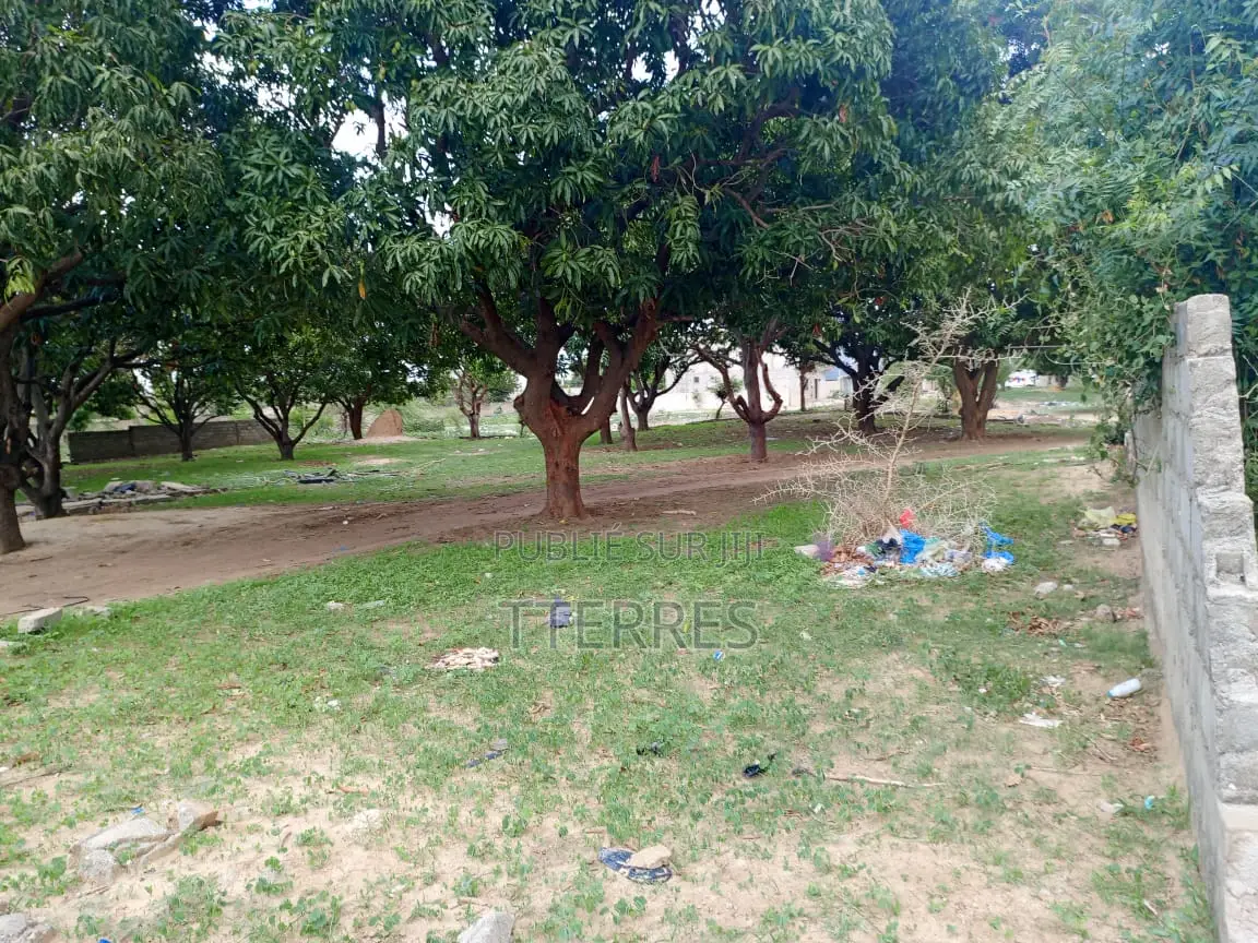 5000 M2 De Verger en Bordure De Route À Sandiara - Mbour