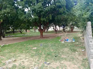5000 M2 De Verger en Bordure De Route À Sandiara - Mbour