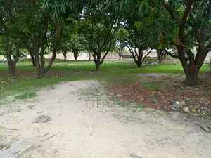 5000 M2 De Verger en Bordure De Route À Sandiara - Mbour