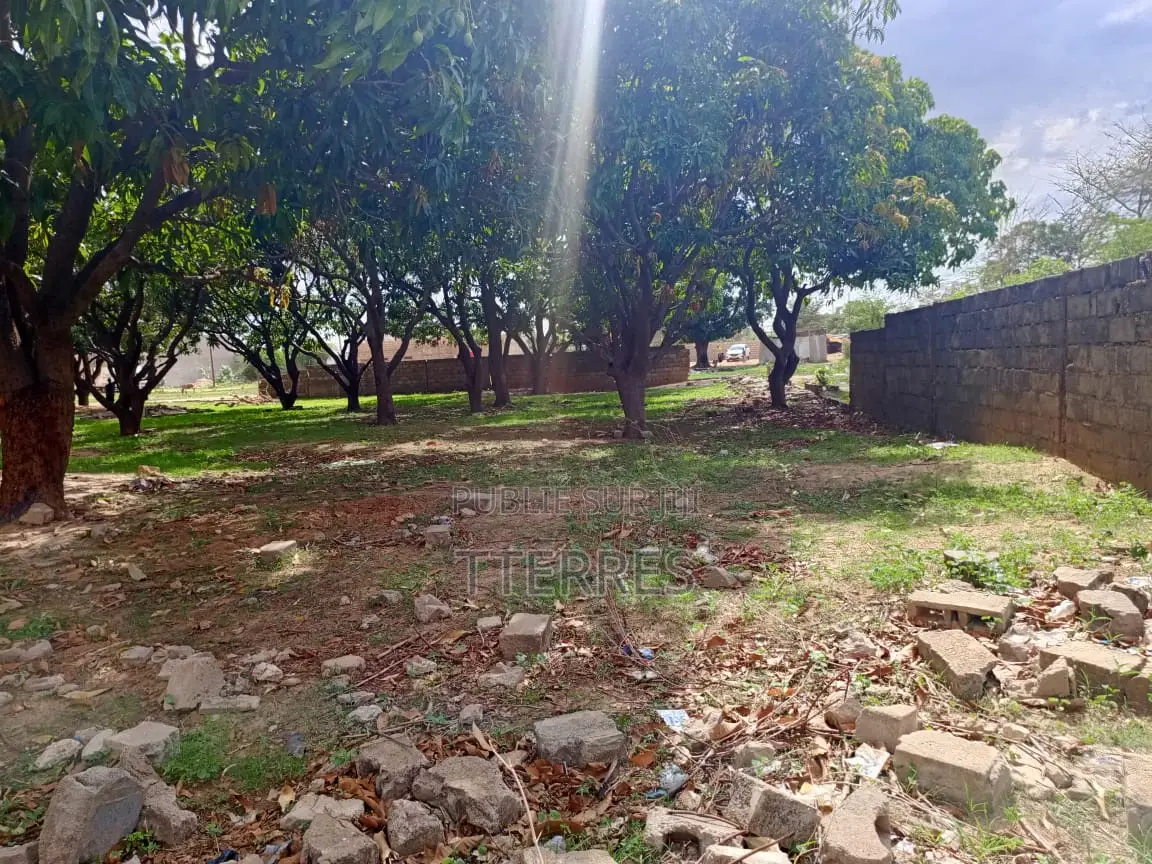 5000 M2 De Verger en Bordure De Route À Sandiara - Mbour