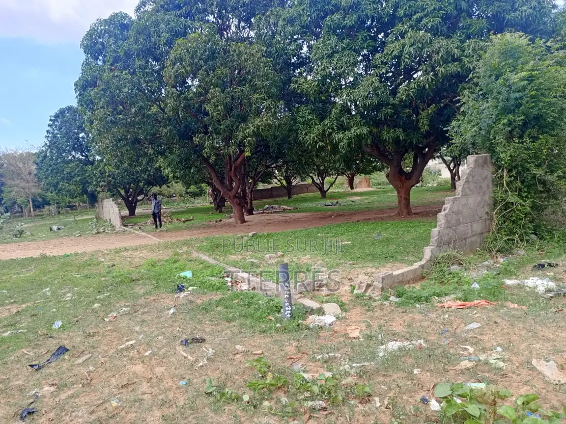 5000 M2 De Verger en Bordure De Route À Sandiara - Mbour