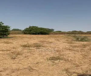 Terrain Industriel De 1 Hectare Vers Keur Birane - Tassette