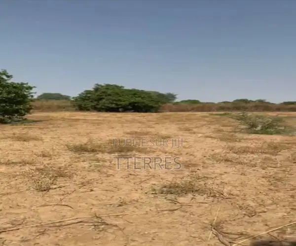 Terrain Industriel De 1 Hectare Vers Keur Birane - Tassette