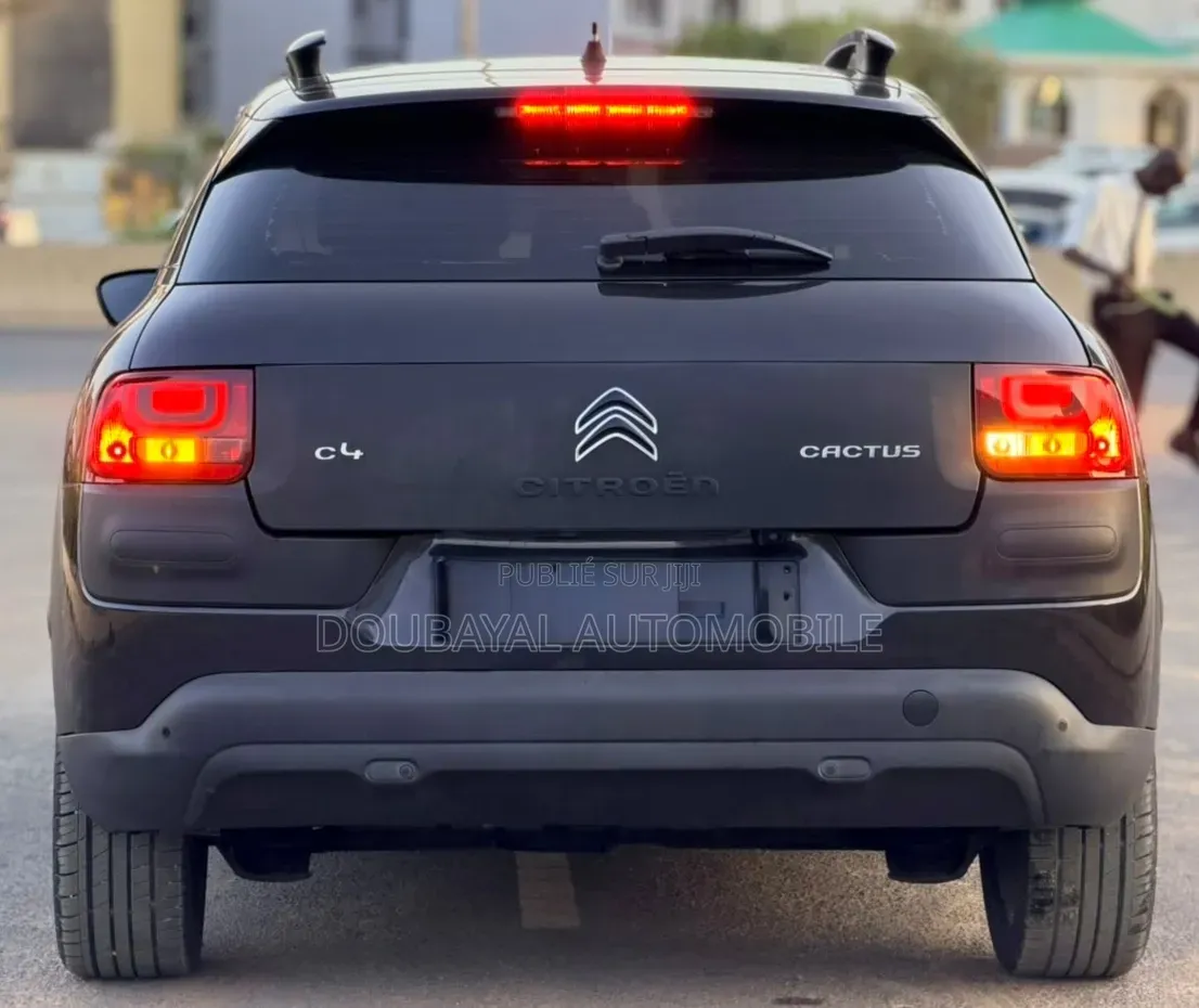 Citroen C4 2017 Noir Mat