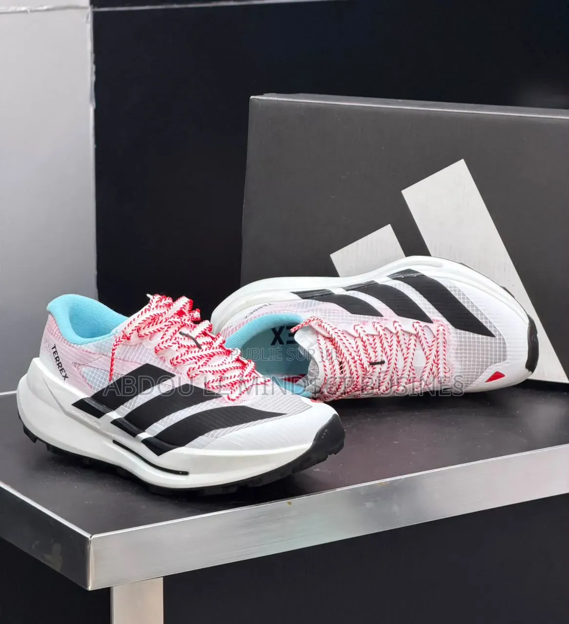 Chaussure Adidas Terrex Multicolore Disponible