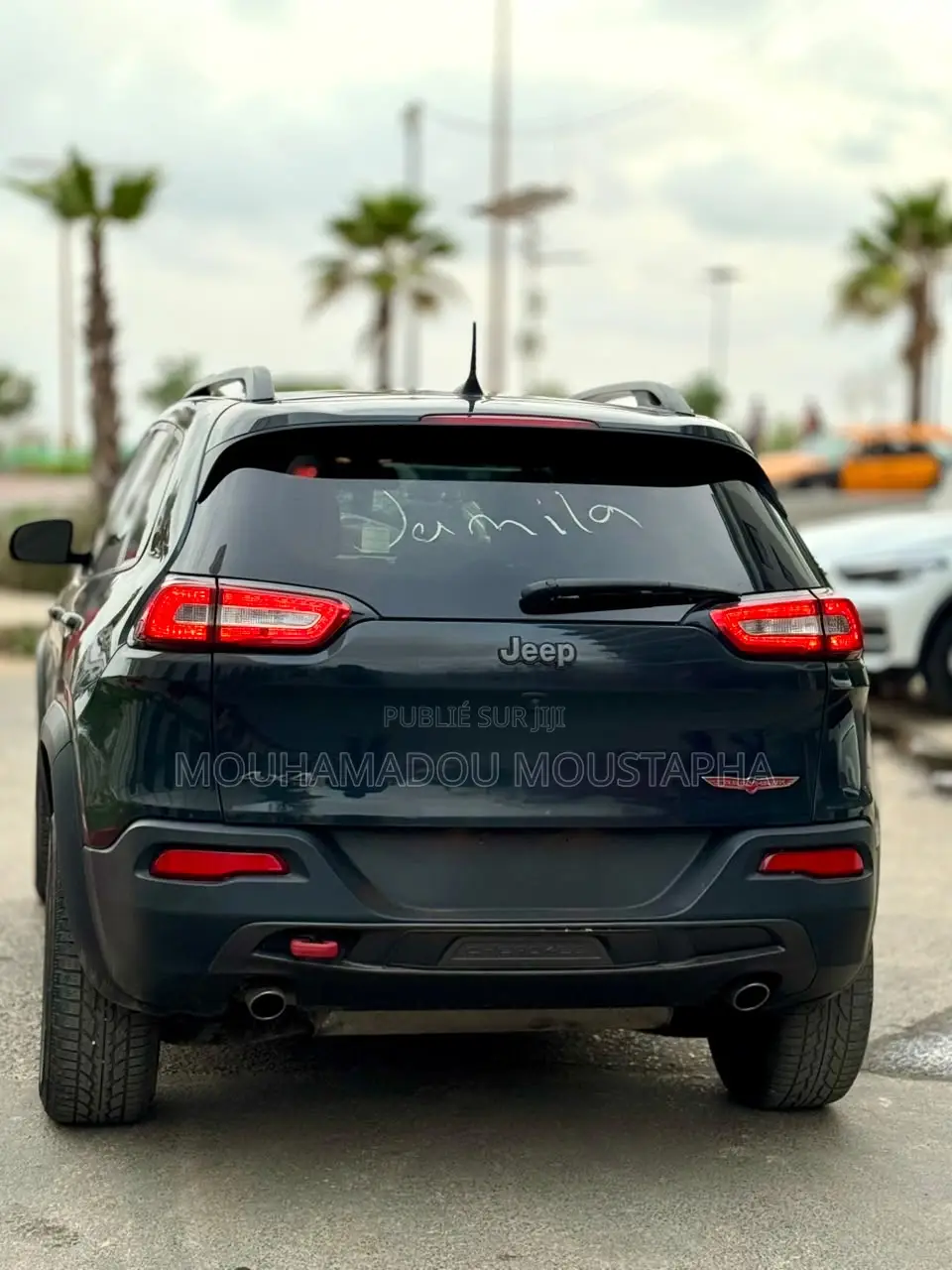 Jeep Cherokee Trailhawk 4x4 2017 Noir