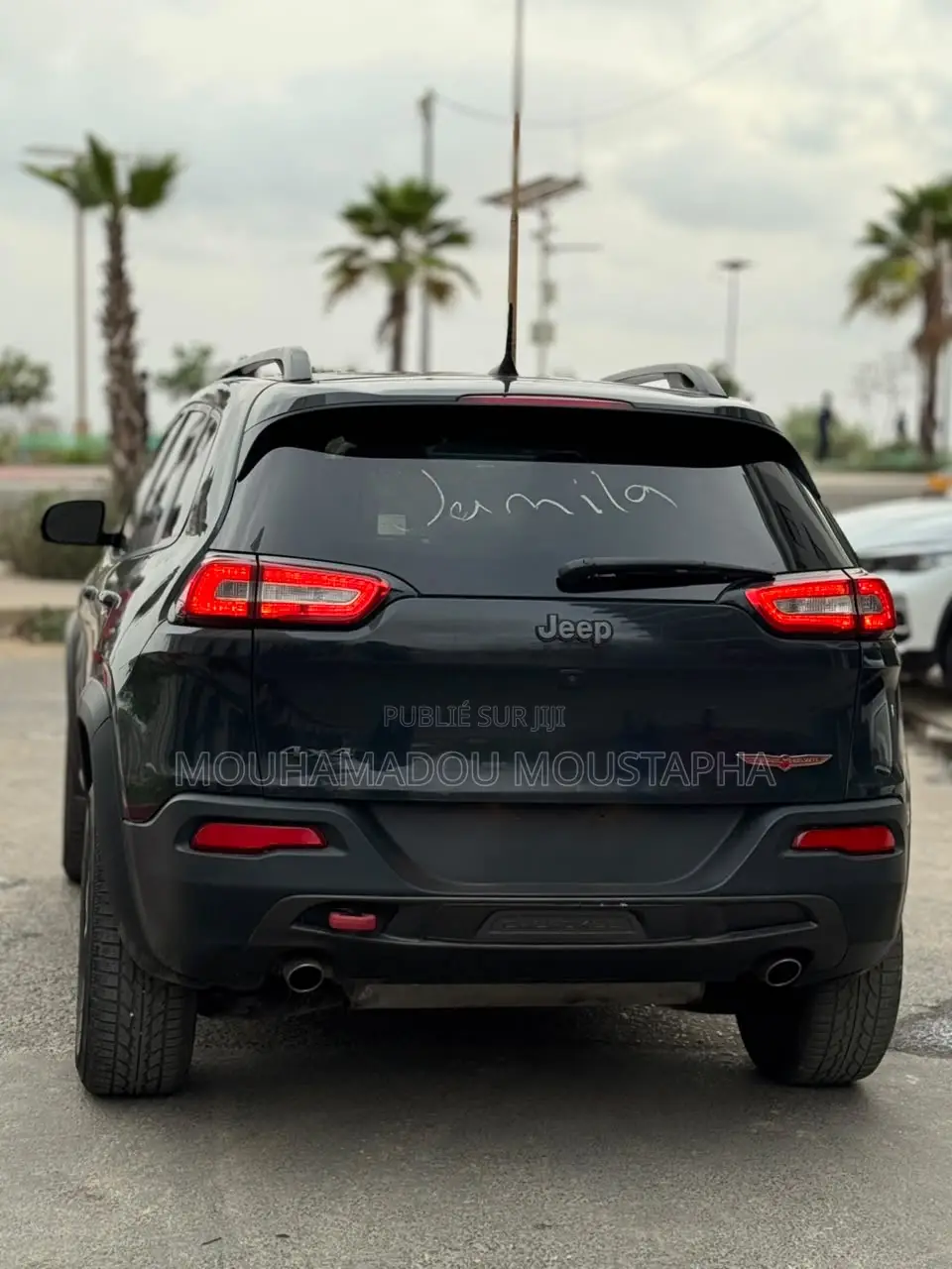 Jeep Cherokee Trailhawk 4x4 2017 Noir