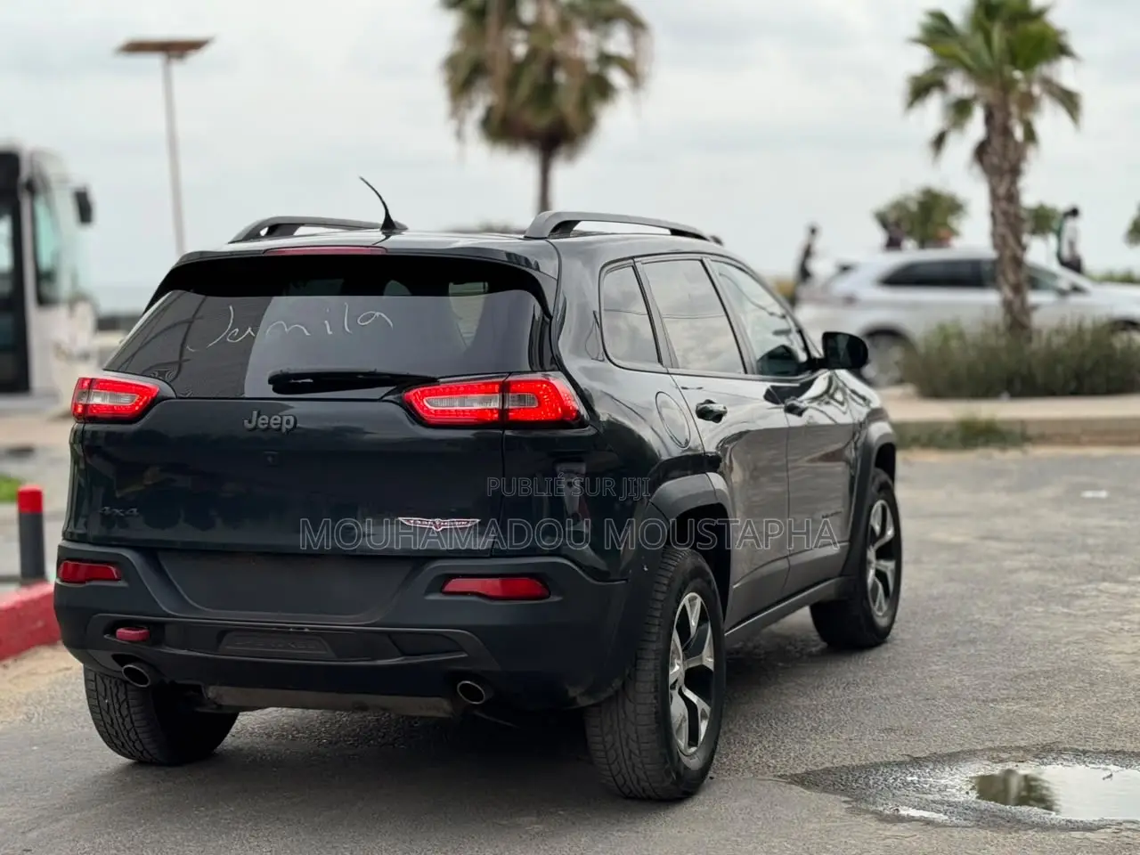 Jeep Cherokee Trailhawk 4x4 2017 Noir