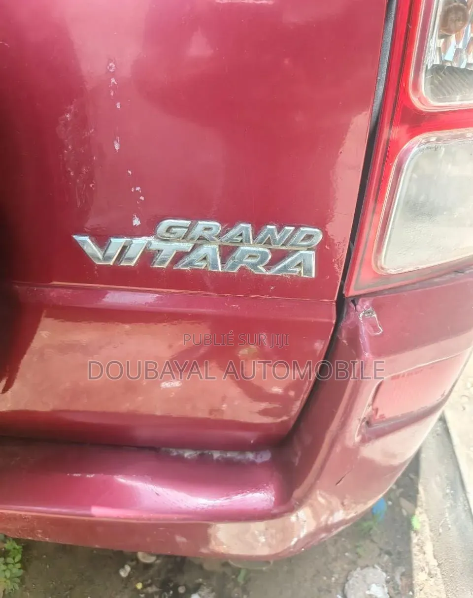 Suzuki Grand Vitara 2010 Autre