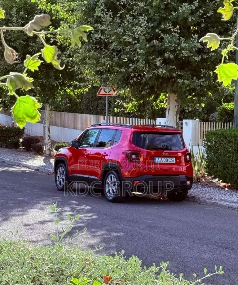Jeep Renegade 2020 Rouge