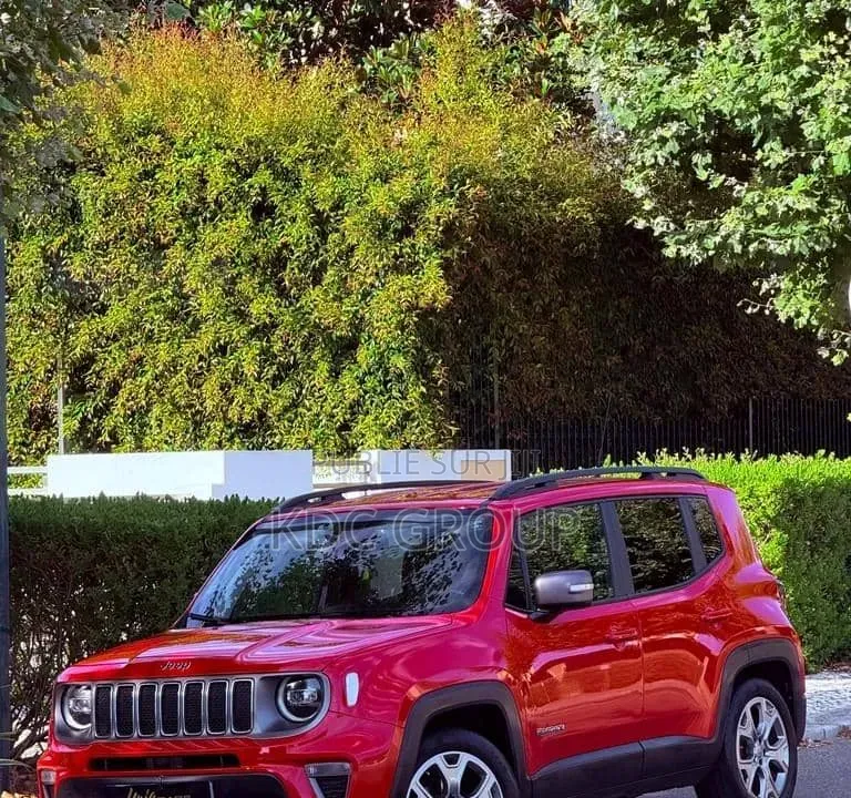 Jeep Renegade 2020 Rouge