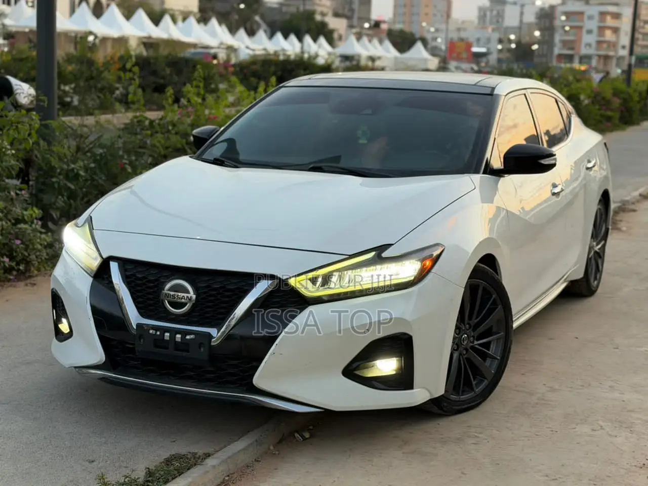 Nissan Maxima 2019 Blanc
