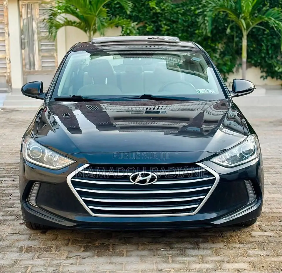 Hyundai Elantra 2017 Bleu